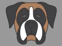 Dog Face Coloring Art Game