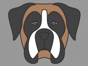 Dog Face Coloring Art Game