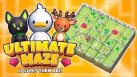 Maze Quest: Collect and Solve