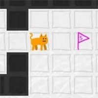 Steve's Five Step Puzzle