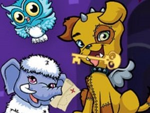 School Pet Seek and Find