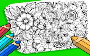 Garden Color Art Studio
