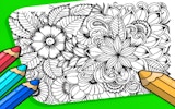 Garden Color Art Studio