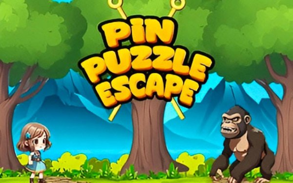 Pin Puzzle Escape: Brain Teaser Puzzle Game