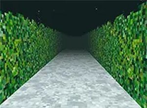Hedge Maze Clue Quest
