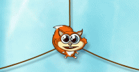 Nutty Yums Rope Logic Puzzle