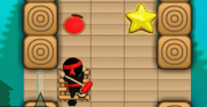 Ninja Painter Puzzle Game