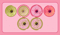 Cell Merge Logic Puzzle